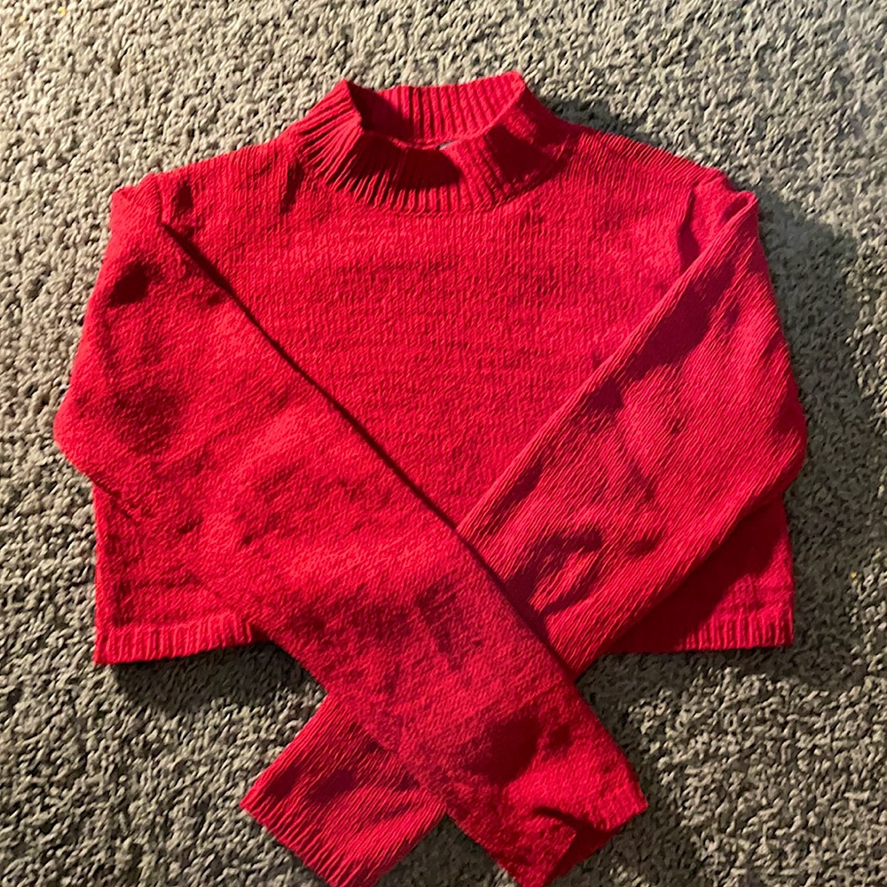Wild Fable red cropped turtle neck sweater